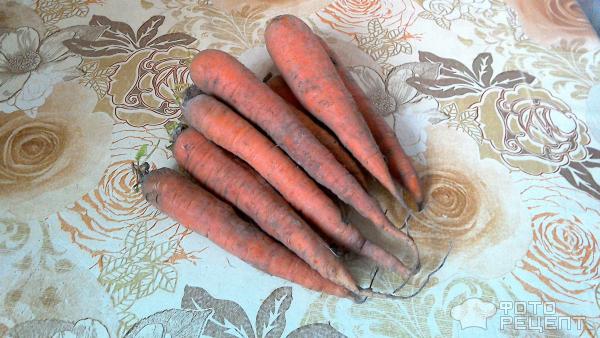 Заготовки из моркови на зиму – самые полезные рецепты вкусных блюд | Дачная кухня (aikimaster.ru)