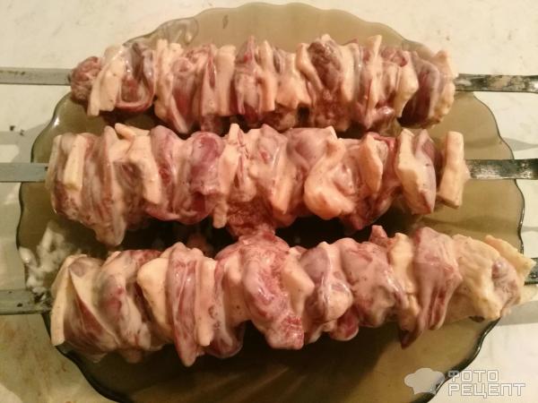 Шашлык из куриной печени на мангале, вкусные рецепты приготовления