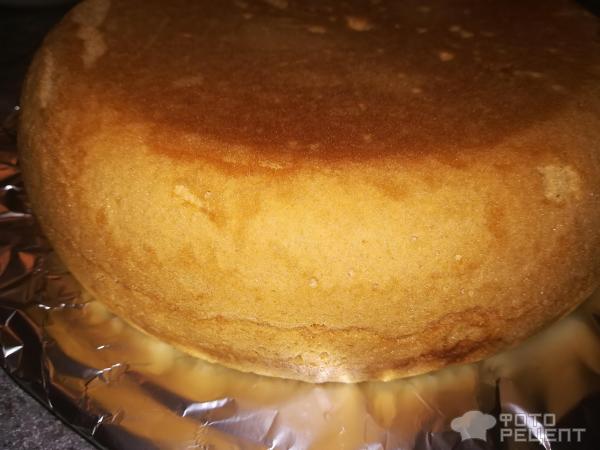 Как приготовить рецепт Бисквитный торт со сметанным кремом и фруктами