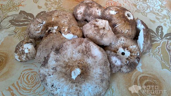 Почищенные грибы