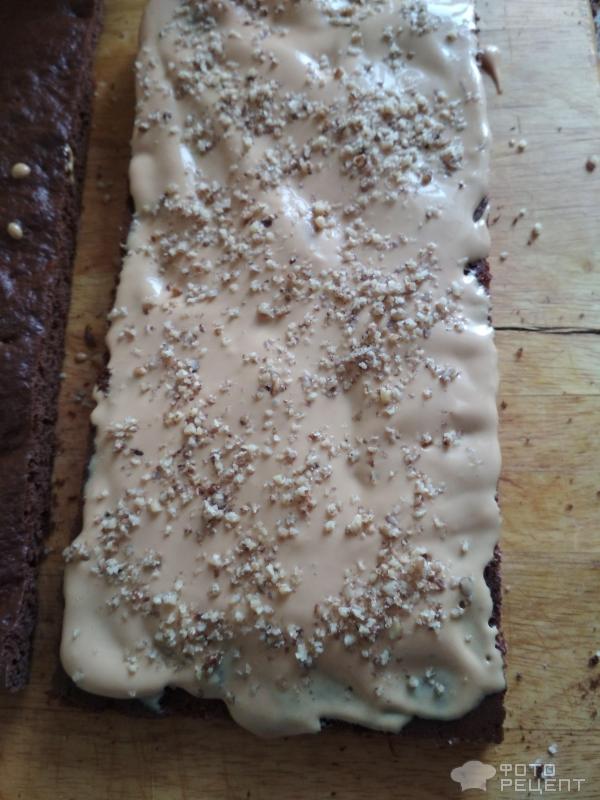 Торт шоколадно-медовый фото