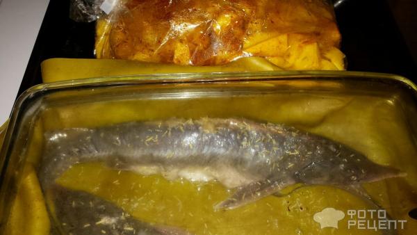 Рецепт Стерляди в фольге в духовке с Фото Пошагово или Как Вкусно Приготовить Рыбу