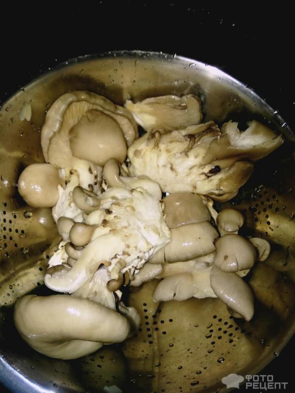 Паста с сыром и грибами фото