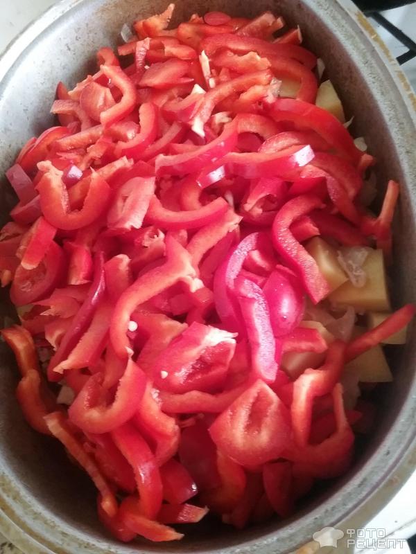Овощное рагу с курицей фото