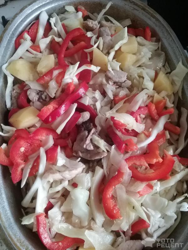 Овощное рагу с курицей фото