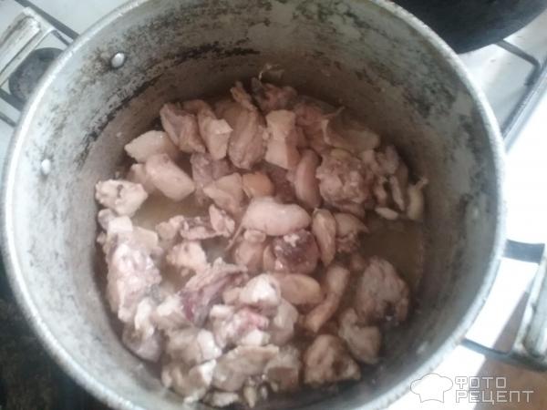 Овощное рагу с курицей фото