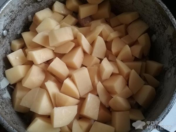 Овощное рагу с курицей фото