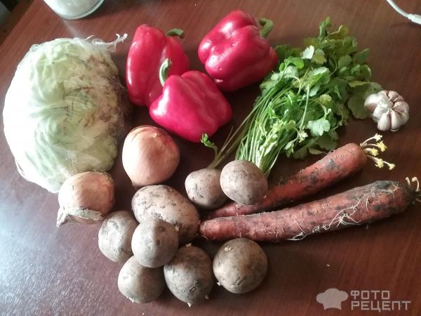 Овощное рагу с курицей фото