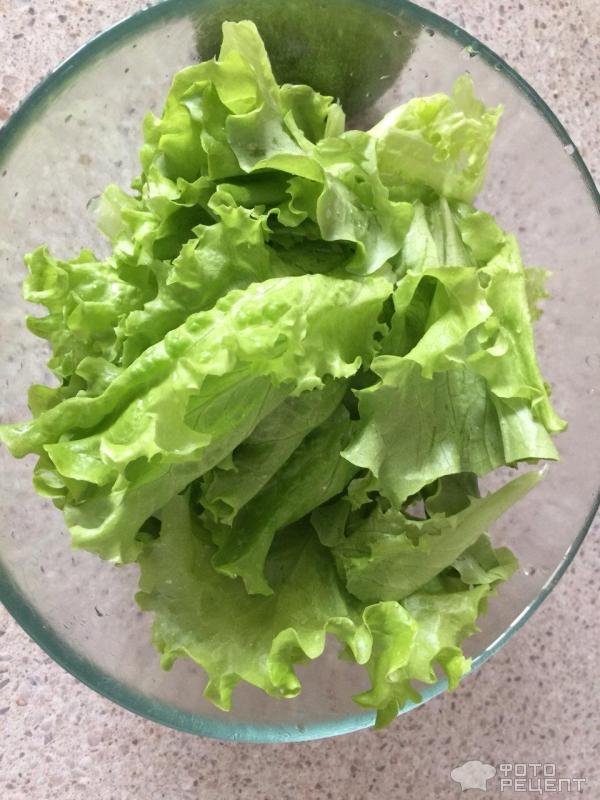 Рецепты салатов с листовой зеленью