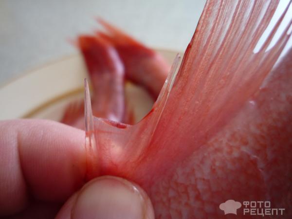 Жареное филе морского окуня фото