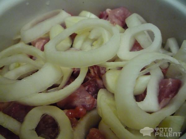 Сочный шашлык из свинины фото
