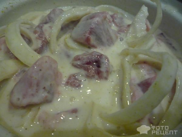 Сочный шашлык из свинины фото