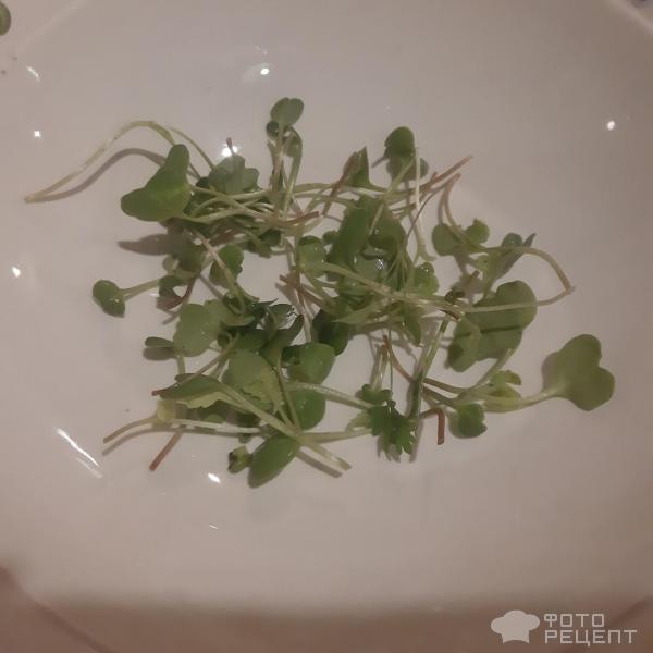 Салат из свежей микрозелени фото