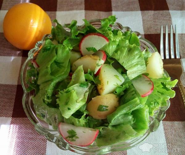 Весенний салат из молодого картофеля фото