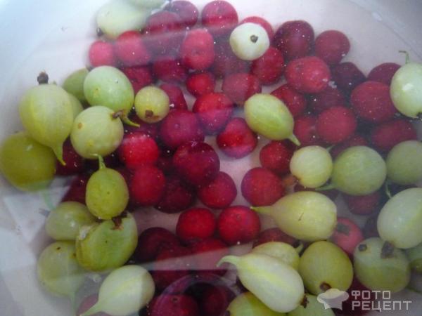 Компот из крыжовника фото