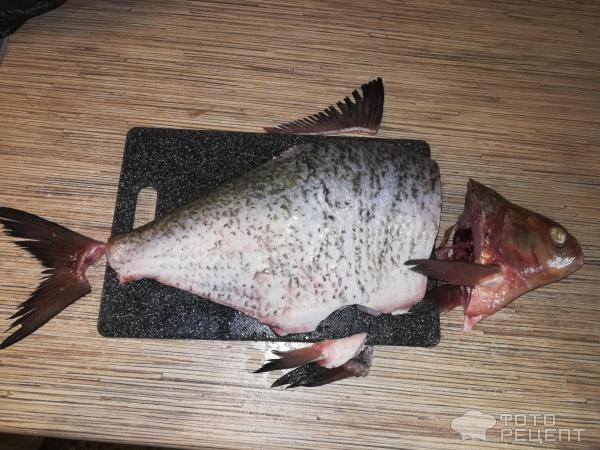 Горбуша на гриле: рецепт приготовления рыбы на сковороде гриль-газ