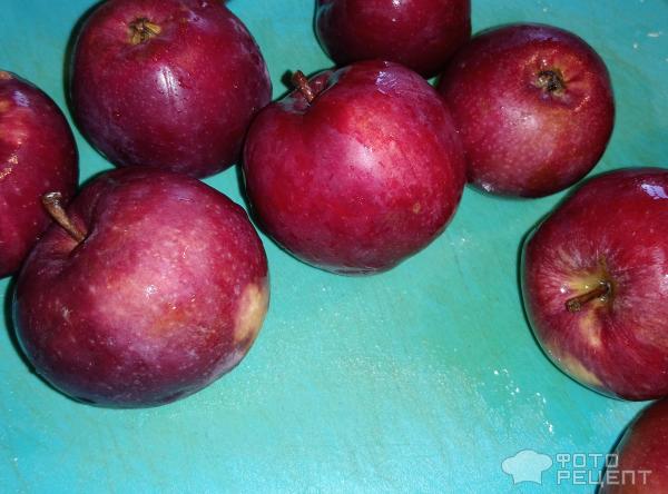 Пирог Шарлотка с яблоками фото