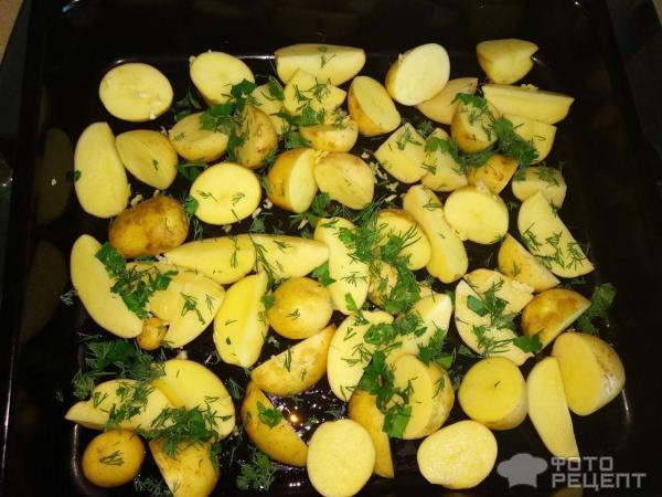 Молодая картошечка в духовке Летняя фото
