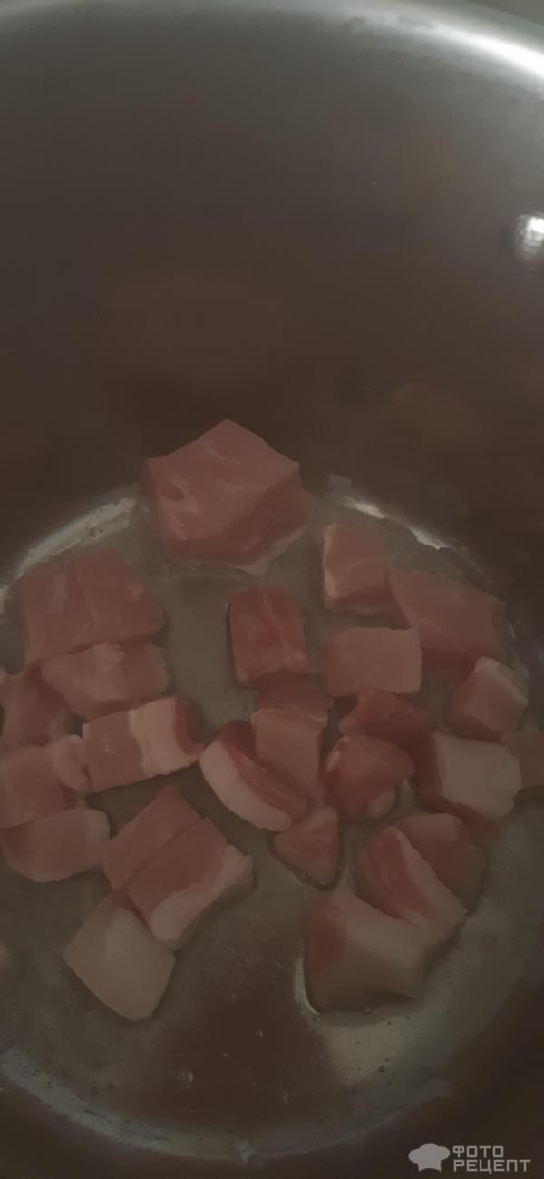 Овощное рагу со свининой фото