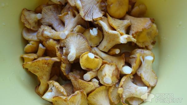 Лисички в сливочно-сметанном соусе (Открываем сезон свежих грибов)