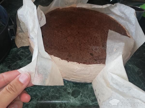 Шоколадный торт с нектаринами и сливочным кремом фото