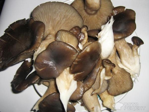 Жареные лесные грибы - пошаговый рецепт с фото на баштрен.рф