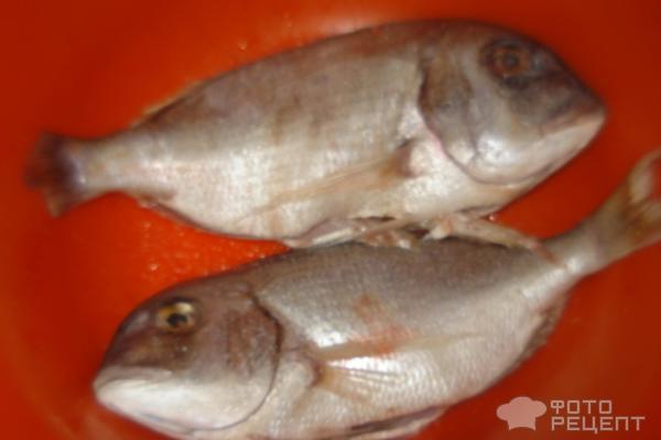 Рыба запечёная в аэрогриле - пошаговый рецепт с фото