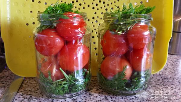 Маринованные помидоры с морковной ботвой фото