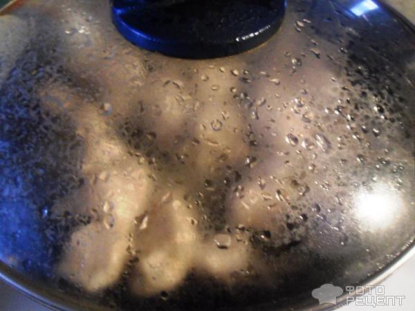 Куриная грудка в сметанно-соевом соусе с гречневой кашей фото