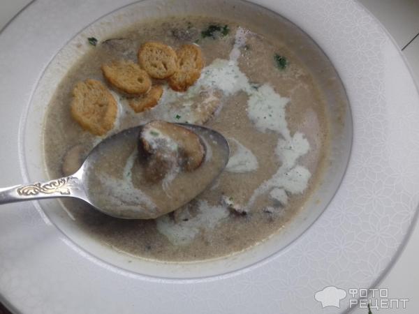 Крем-суп из лесных грибов