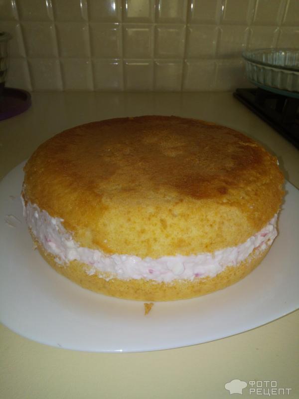 Торт бисквитно-йогуртовый фото