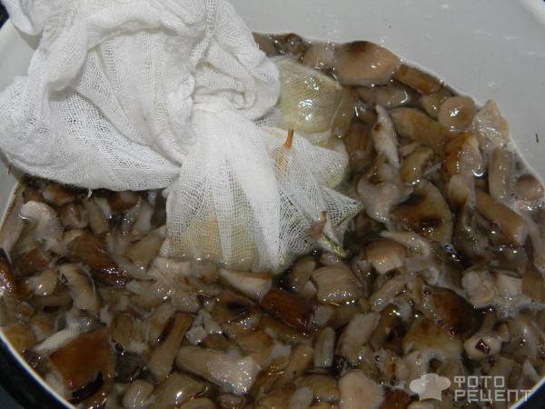 Как приготовить маринованные лесные грибы без закрутки, рецепт с фото