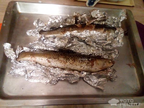 Кефаль в духовке: учимся готовить рыбку вкусно!