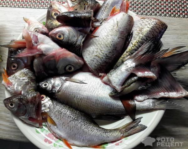 Рыба Речная Рецепты Приготовления С Фото
