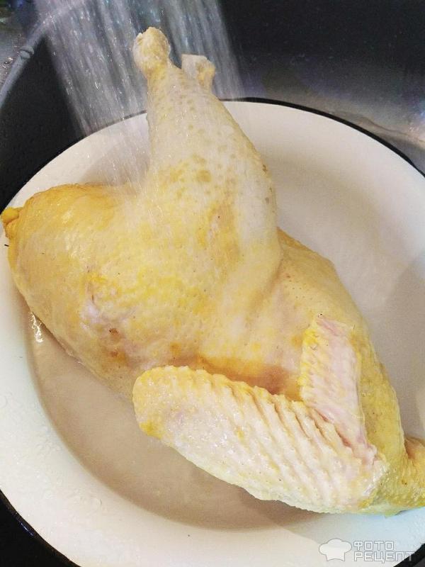 Суп-лапша из домашней курицы фото
