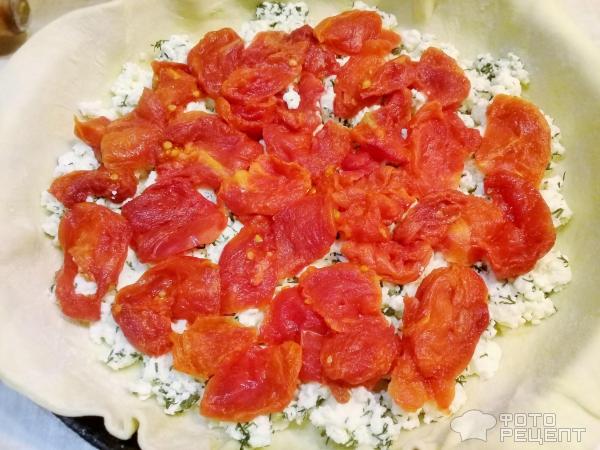 Сырный пирог с помидорами фото