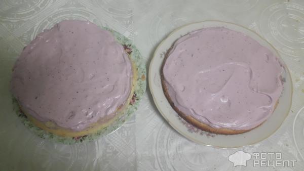 Торт белковый заворной ягодный микс фото