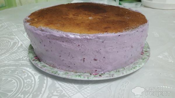 Торт белковый заворной ягодный микс фото