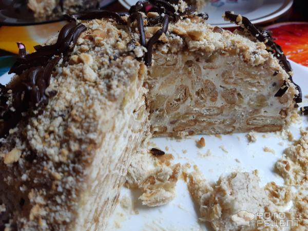 Торт черепаха — рецепт с фото пошагово в домашних условиях, со сметаной