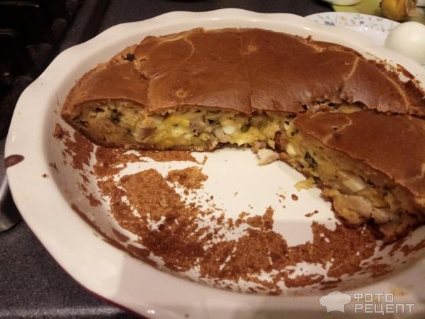 Заливной пирог с яйцами, зеленым луком и мясом фото