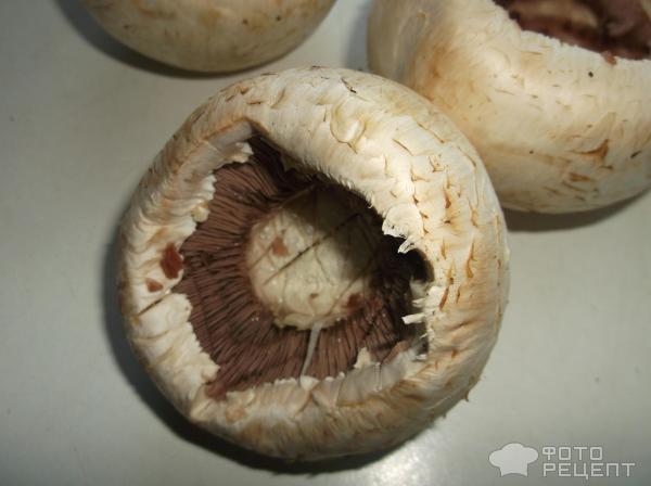 Фаршированные шляпки грибов фото