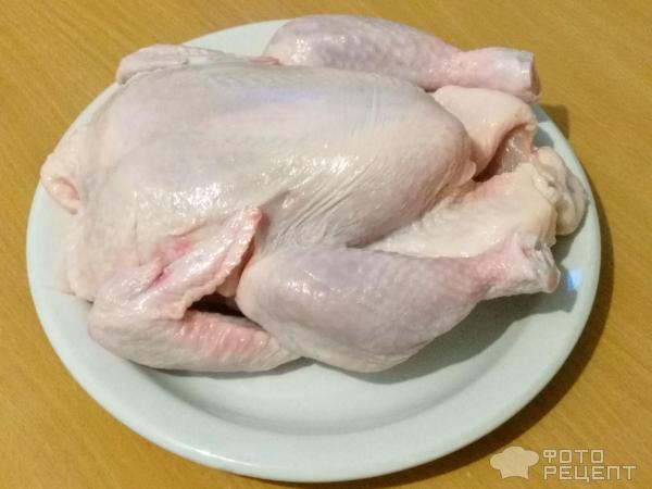 Курица в духовке целиком — 45 рецептов с фото. Как запечь курицу в духовке целиком?
