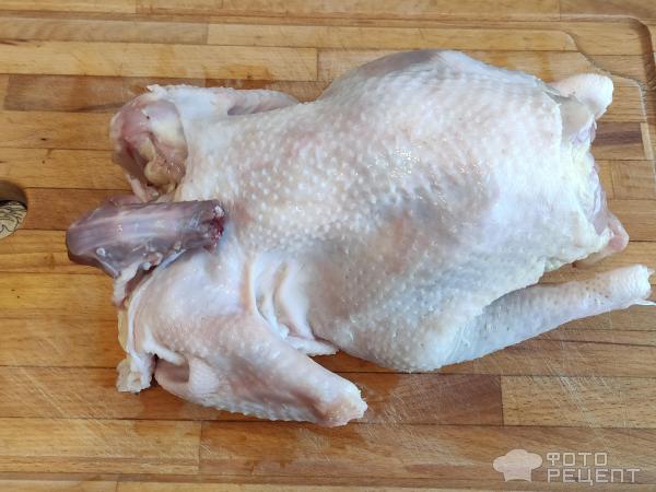 Курица в сметане с луком