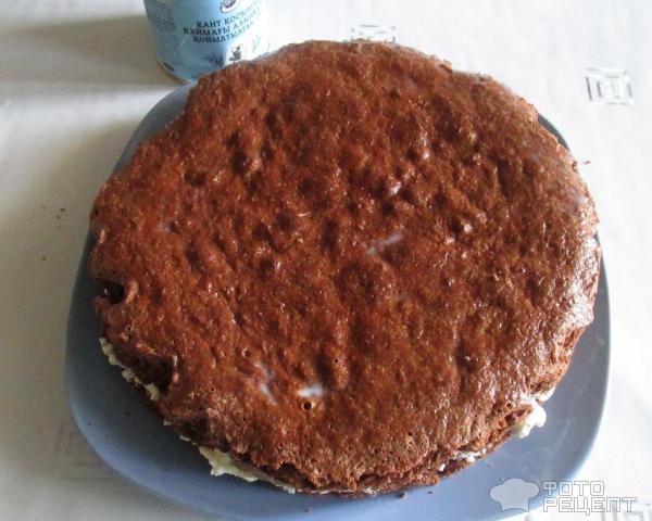 торт бисквитный с какао