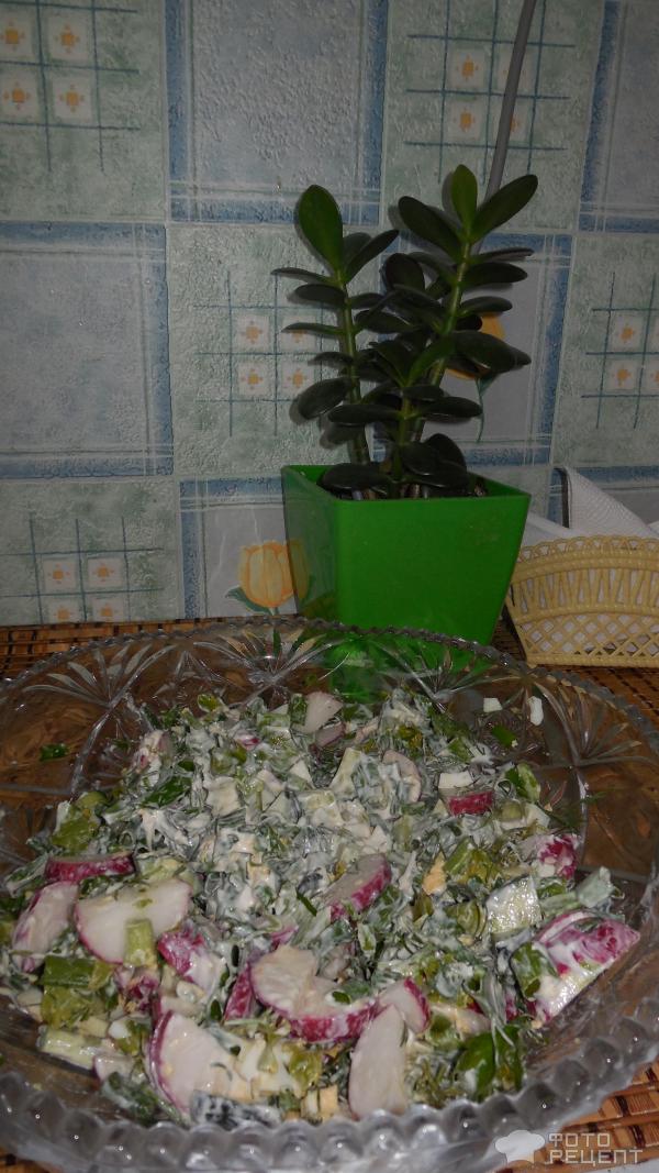 Салат весенний из редиса фото