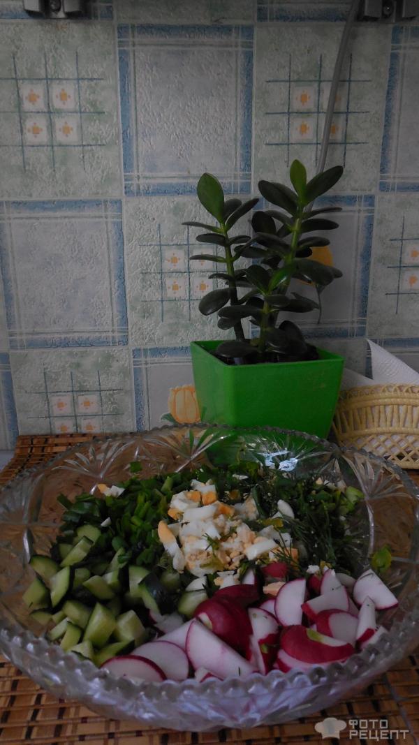 Салат весенний из редиса фото