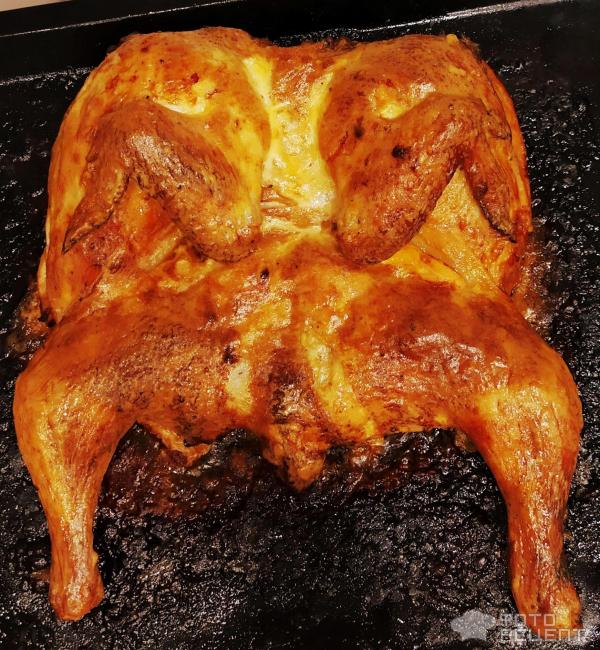 Курица, запеченная с медом и горчицей целиком, в духовке: рецепт с фото