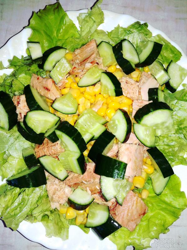 Салат с тунцом и кукурузой фото