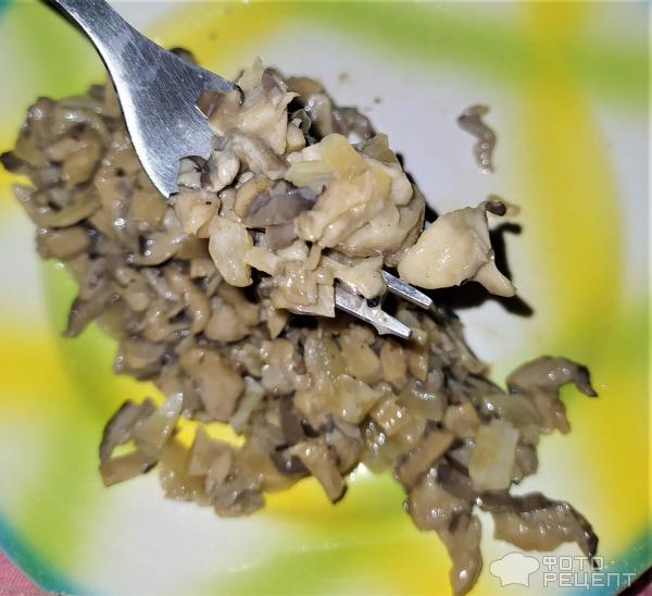 Жареные размороженные грибы с луком и сметаной