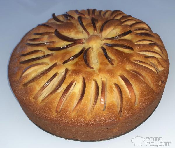 Мясной пирог на кефире, пошаговый рецепт на ккал, фото, ингредиенты - Стелла